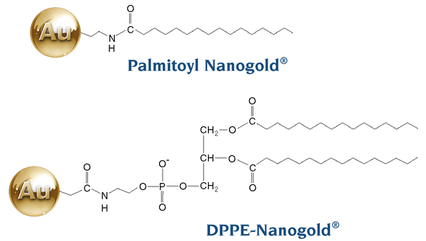 Structures of Palmitoyl Gold and DPPE-Gold (12k)