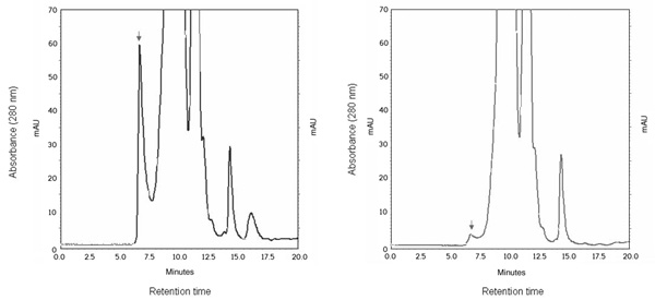 [Chromatographic Separation] (25k)