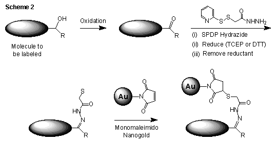 [Carbonyl Nanogold labeling scheme (8k)]