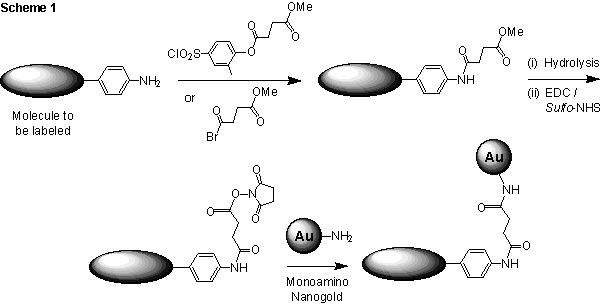 [Aromatic amine labeling (8k)]