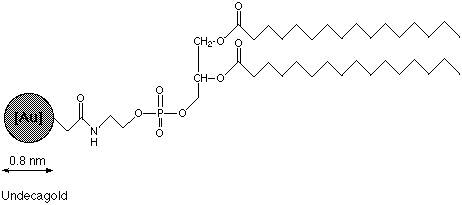 Chemdraw Pic (2k)