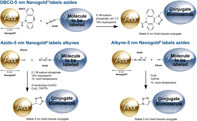 Nanogold® Click labeling reactions