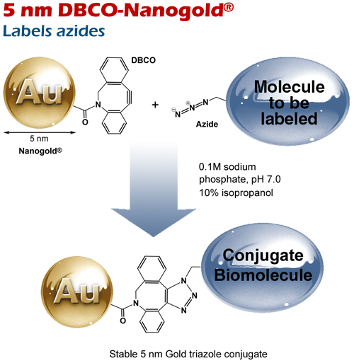 5 nm DBCO-Nanogold<sup>®</sup> labels azides via copper-free SPAAC reaction