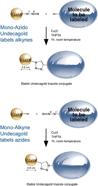 Undecagold Click labeling reactions