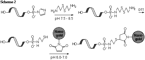 Nanogold Labeling via Disulfide (4k)