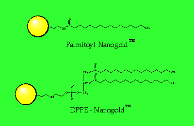 [Palmitoyl and DPPE-Gold (4k)]