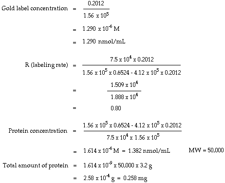 Nanogold-Fab' calculation (3k)