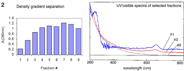 [Figure 2: Density gradient ultracentrifugation separation with spectra] (48k)