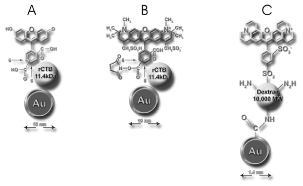 [Figure 1 A, B and C] (36k)