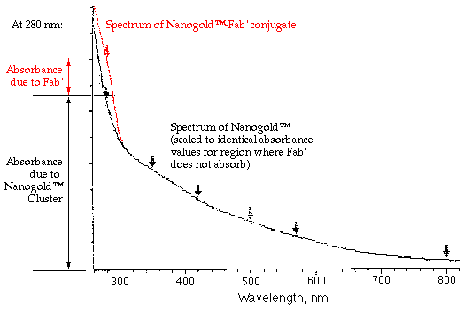 [Spectra of Nanogold and conjugate] (5k)]