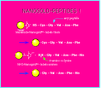 Nanogold®-Peptides (6k)