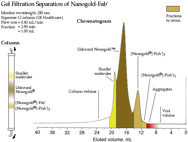 [Gel filtration separation of Nanogold-Fab' (80k)]