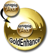 Nanogold enhancement with GoldEnhance