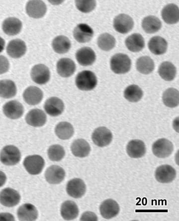 Unconjugated 12 nm Nanogold®, showing monodisperse, highly regular, spherically symmetrical 12 nm gold core and uniform, consistent ligand coating. This ensures a highly regular particle size and reliable, reproducible labeling and EM results.