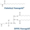 Nanogold®-Lipid Conjugates: Each lipid molecule is covalently linked to a 0.8 nm or 1.4 nm Nanogold® cluster through its polar head group. Since the gold moiety is hydrophilic, these molecules retain the amphiphilic nature of the parent lipid, and behave like fatty acids or phospholipids.