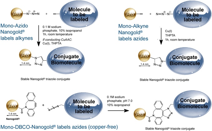 CLICK labeling with Nanogold&reg;. Label with azides, alkynes or DBCO