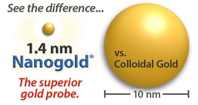 See the difference...1.4 nm Nanogold vs colloidal gold: the superior gold probe. Get incredible penetration and precision labeling