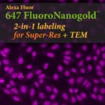 Alexa Fluor 647 FluoroNanogold™. 2-in-1 Labeling for Super-Res + TEM