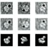 TEM projections of RNA polymerase II-TFIIF labeled with 5 nm Ni-NTA-Nanogold®: raw images in first row, filtered images in the second and the corresponding views of RNA polymerase II (Chang, 2013).