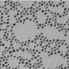 Transmission electron micrograph of 5 nm NTA Nanogold: average diameter 5.11±0.84nm.