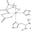 Structure of Ni-NTA-Nanogold® showing interaction with Interaction with a His-tagged protein